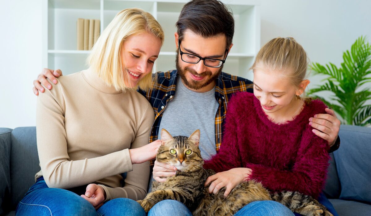 Devenir famille d’accueil : une mission de cœur